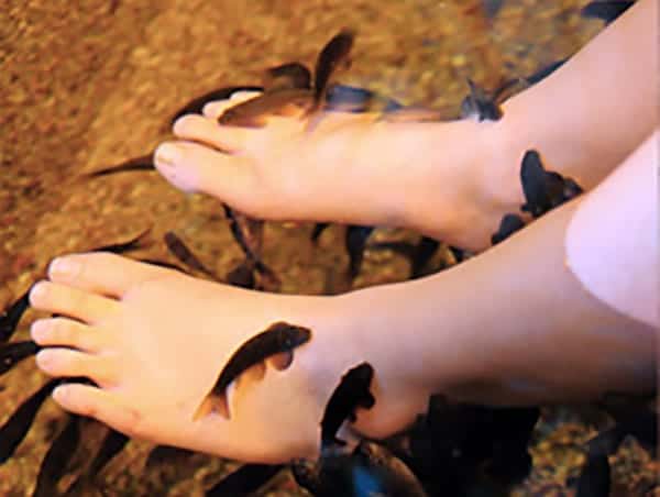 Dipping my toes into the ticklish fish foot massage trend