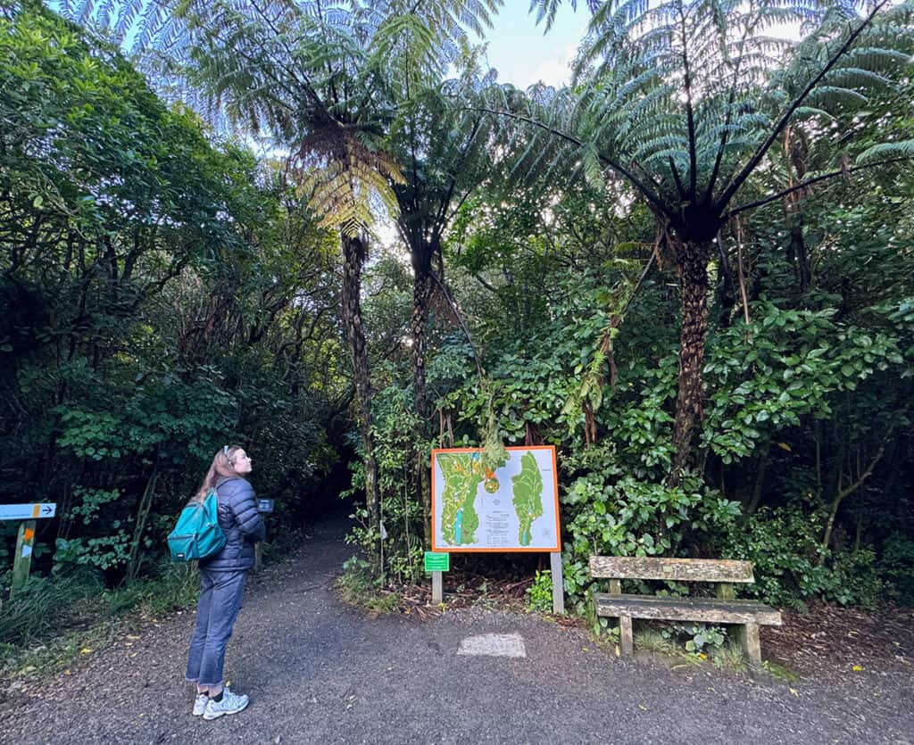 Looking at a Zealandia trail map and choosing a path