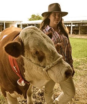 A&P Shows: Big bulls and candyfloss